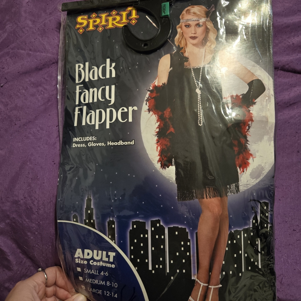 Black Flapper Dress Costume